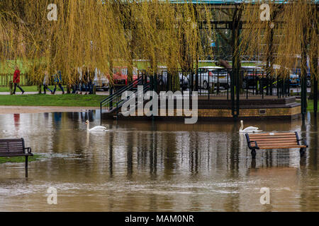 Le Warwickshire, Royaume-Uni. 2 avril, 2018. Les pluies torrentielles à Stratford upon Avon à l'origine des inondations, dans le Warwickshire, Royaume-Uni. Credit : JHNews / Alamy Live News Banque D'Images