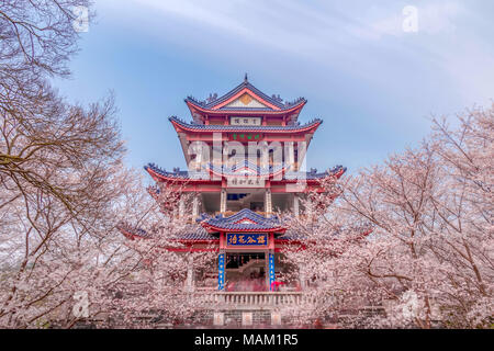 Wuxi, Wuxi, Chine. 2ème apr 2018. Wuxi, Chine 2e avril 2018 : une vue sur les cerisiers en fleurs à la tête de la tortue Yuantouzhu (Isle) scenic spot de Wuxi, Jiangsu Province de Chine orientale. Wuxi, une ville caractérisée par ses belles rivières, le célèbre lac Taihu, villages charmants et historiques, jardins de thé mélange continue de l'évolution moderne avec sa culture traditionnelle. Crédit : SIPA Asie/ZUMA/Alamy Fil Live News Banque D'Images