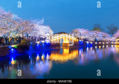 Wuxi, Wuxi, Chine. 2ème apr 2018. Wuxi, Chine 2e avril 2018 : une vue sur les cerisiers en fleurs à la tête de la tortue Yuantouzhu (Isle) scenic spot de Wuxi, Jiangsu Province de Chine orientale. Wuxi, une ville caractérisée par ses belles rivières, le célèbre lac Taihu, villages charmants et historiques, jardins de thé mélange continue de l'évolution moderne avec sa culture traditionnelle. Crédit : SIPA Asie/ZUMA/Alamy Fil Live News Banque D'Images