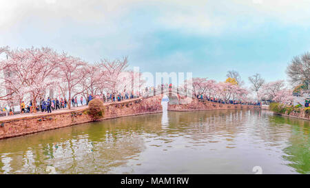 Wuxi, Wuxi, Chine. 2ème apr 2018. Wuxi, Chine 2e avril 2018 : une vue sur les cerisiers en fleurs à la tête de la tortue Yuantouzhu (Isle) scenic spot de Wuxi, Jiangsu Province de Chine orientale. Wuxi, une ville caractérisée par ses belles rivières, le célèbre lac Taihu, villages charmants et historiques, jardins de thé mélange continue de l'évolution moderne avec sa culture traditionnelle. Crédit : SIPA Asie/ZUMA/Alamy Fil Live News Banque D'Images