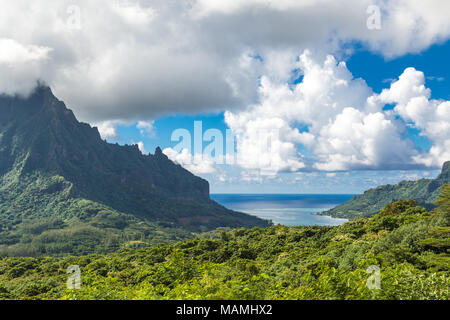 L'île de Moorea, dans le Pacifique Sud. Banque D'Images