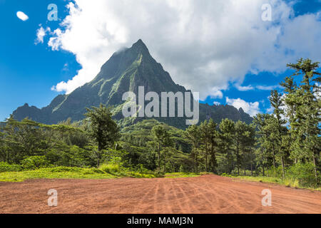 L'île de Moorea, dans le Pacifique Sud. Banque D'Images