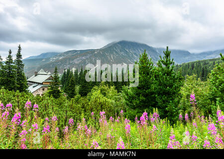 Maison dans la forêt de montagne, Paysage vert avec panorama de montagnes et de fleurs d'été, vue panoramique Banque D'Images