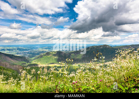 Paysage de la vallée de montagne, panorama de ville Zakopane du sentier de randonnée dans les montagnes de Tatra, l'été, Pologne Banque D'Images