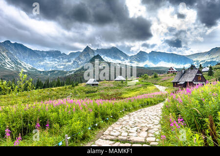 Sentier de randonnée en montagne, paysage de maisons dans la vallée de montagne avec des fleurs en été, pelouse, Hala Gąsienicowa, attraction touristique populaire dans Banque D'Images