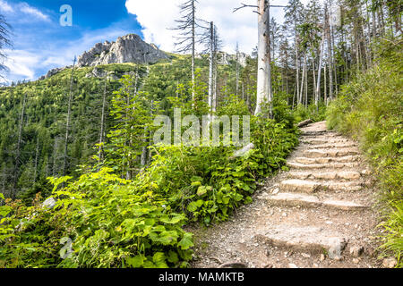 Sentier de randonnée en montagne, paysage, chemin de pierres menant au sommet de la montagne Banque D'Images