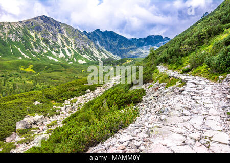 Chemin de pierre dans la montagne, paysage de sentier de randonnée pédestre sur la vallée verte avec des forêts et montagnes dans le ciel Banque D'Images