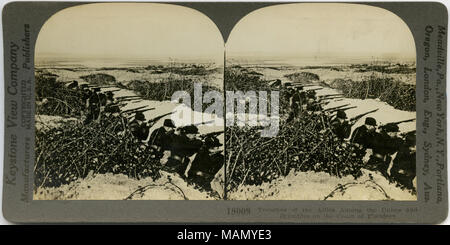 Stereocard horizontale, sépia montrant des hommes en uniforme se prête à faire feu sur des cibles hors de portée de photographie. Épaulements temporaire, qui étaient mieux adaptés à l'eau - trempé état de la terre, peut être vu dans la photographie. Numéro 18009 Stéréophotogramme Keystone. Le titre se lit comme suit : 'tranchées de la alliés parmi les ronces et les dunes de la côte de Flandre.' Title : 'Tranchées des Alliés sur la côte de Flandre.' . entre vers 1914 et vers 1915. Voir la fiche de l'entreprise Keystone Banque D'Images