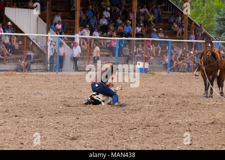 Cow-boy est de lier son mollet dans un concours local de veaux au lasso. Banque D'Images