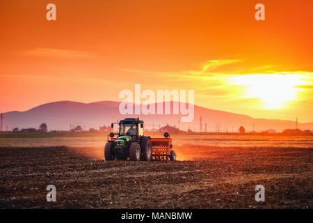 Agriculteur avec tracteur cultures d'ensemencement au coucher du soleil sur le terrain Banque D'Images