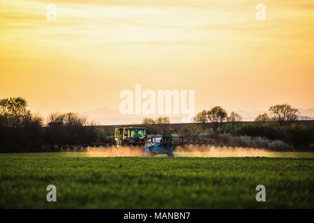 La pulvérisation du tracteur champ de blé avec le pulvérisateur, coucher de shot Banque D'Images