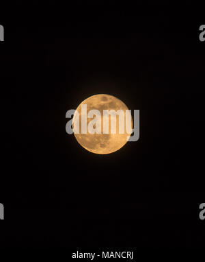 Blue Moon Rising le 31 mars 2018, orientée portrait image avec lune isolé sur fond noir avec du texte ou copiez l'espace. Banque D'Images