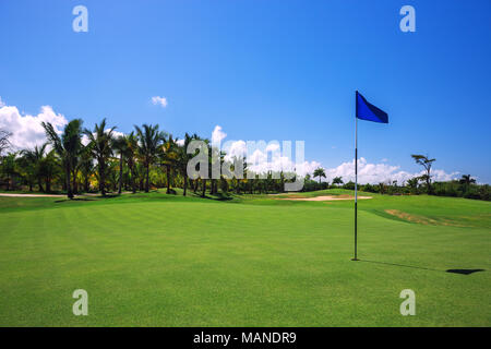 Le parcours de golf. Beau paysage d'un court de golf avec des palmiers à Punta Cana, République Dominicaine Banque D'Images