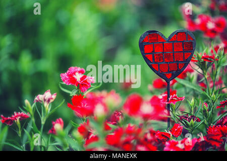 Beau jardin avec girofle rose Banque D'Images