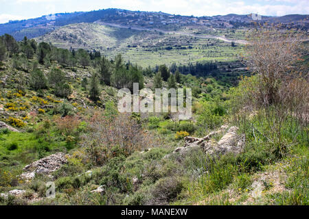 Nature et paysage autour de Jérusalem en Israël du paysage et de la nature à la Vallée Blanche près de Jérusalem, une partie de la randonnée nationale israélienne Banque D'Images