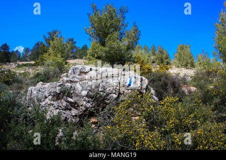 Nature et paysage autour de Jérusalem en Israël du paysage et de la nature à la Vallée Blanche près de Jérusalem, une partie de la randonnée nationale israélienne Banque D'Images