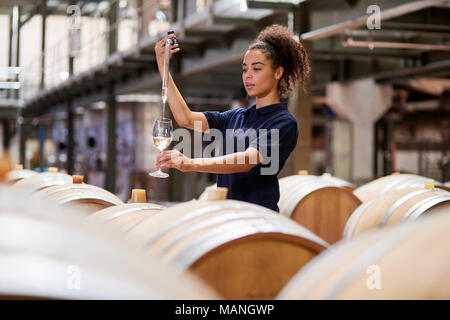 Jeune femme à l'essai dans une usine de vin vin warehouse Banque D'Images