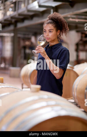 Jeune femme dégustation de vin en usine-entrepôt, vertical Banque D'Images