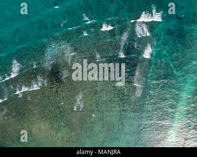 Amortie de mer tropical Emeraude Banque D'Images