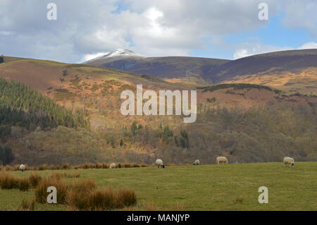 Skiddaw vu du terrain par cercle de pierres de Castlerigg, Keswick Banque D'Images