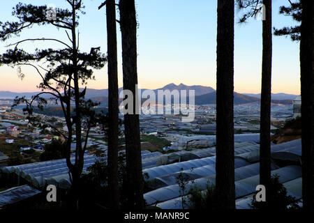 Grand domaine agricole à Da Lat, campagne de serres en plastique pour la sécurité de la production de légumes, de fleurs, de l'environnement nuisibles en serre Banque D'Images