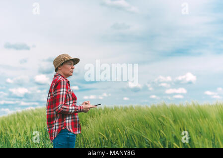 Farmer using digital tablet in wheat crop field, concept de l'agriculture intelligente moderne responsable par l'aide d'appareils électroniques Banque D'Images