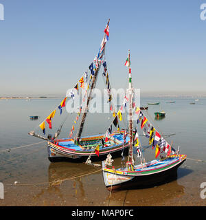Les bateaux traditionnels à Alcochete, le Tage. Portugal Banque D'Images