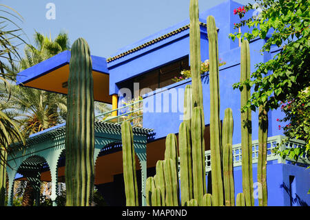 Cactus dans le jardin Majorelle. Marrakech, Maroc Banque D'Images