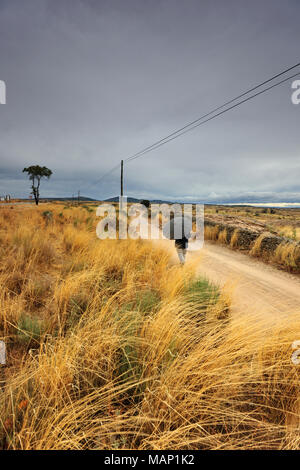 Quelqu'un marche le long d'une ancienne route près de Figueira de Castelo Rodrigo. L'un des plus hauts plateaux isolés en Portugal à Douro International Par naturelles Banque D'Images