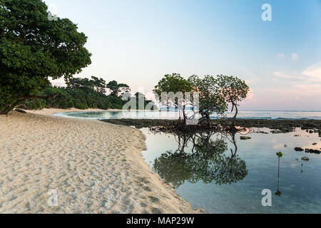 Beau coucher du soleil à Neil island, Côte d'Ivoire, l'Inde. Silhouette d'arbres contre coucher de soleil sur blue purple sky. Beau coucher de soleil magnifique. Banque D'Images