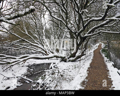 Itchen River Heritage Trail, navigation à pied après une chute de neige, Eastleigh, Hampshire, Angleterre. Banque D'Images