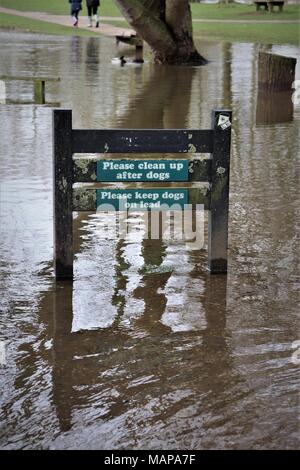 Inondations à Needham Lake, Suffolk UK Banque D'Images