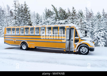School bus saupoudrée de lumière couvrant de neige. Banque D'Images