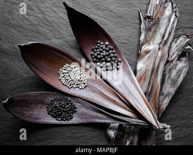 Noir, blanc et parfumé des tas de piments en feuille sèche canalise sur fond noir en noir avec surface bananier bars à sec Banque D'Images