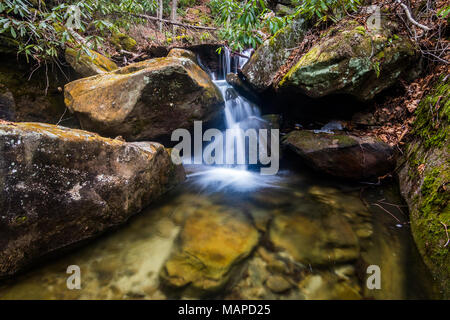 Cascades de l'eau une petite chute dans une forêt de feuillus. Banque D'Images