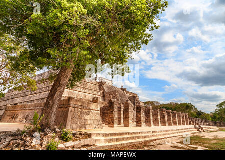 Groupe de mille colonnes complexe et arbre en premier plan, Chichen Itza site archéologique, Yucatan, Mexique Banque D'Images
