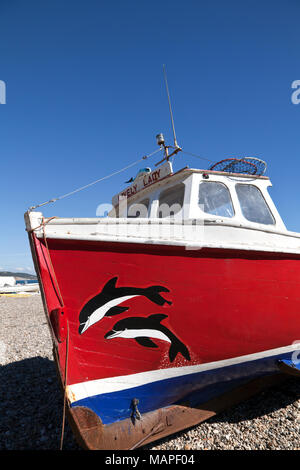 Bateau de pêche colorés treuillé sur plage de galets à la ville de la bière, l'est du Devon, Angleterre. Banque D'Images