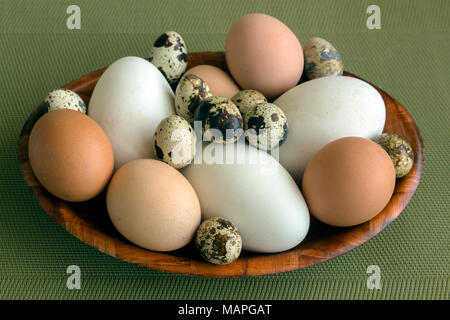 Poule, canard et oeufs de caille dans un bol en bambou sur un fond vert. Banque D'Images