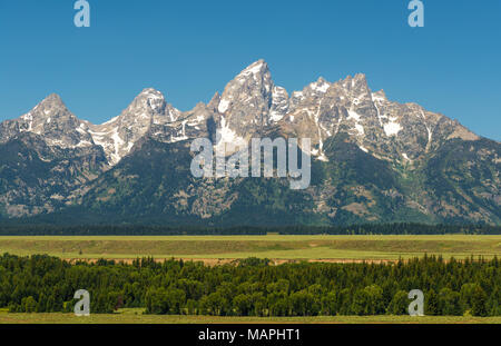 Le Grand Teton Range à une forêt de pins au premier plan en début de matinée à l'intérieur du parc national de Grand Teton près de Jackson Hole, Wyoming, USA. Banque D'Images