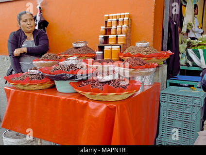 Une femme est assise à son vendeur alimentaire décrochage de fortune à l'extérieur de l'entrée de la principale zone de marché à Oaxaca, au Mexique. Banque D'Images