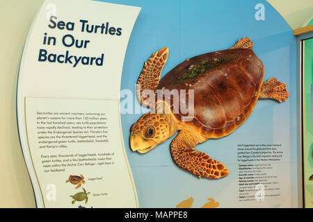 Centre d'éducation, d'affichage de l'île de barrière Sanctuaire, Floride Banque D'Images