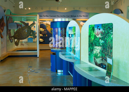 Centre d'éducation, d'affichage de l'île de barrière Sanctuaire, Floride Banque D'Images