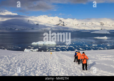 Les passagers des navires de l'expédition trek au-dessus de la mer, début de matinée, journée ensoleillée, Neko Harbour, baie Andvord, Terre de Graham, en Antarctique, les régions polaires Banque D'Images