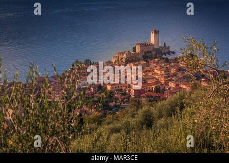 Portrait de château Scaligero (Château Scaliger), Malcesine, sur le lac de Garde, Vénétie, lacs italiens, Italie, Europe Banque D'Images