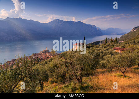 Portrait de château Scaligero (Château Scaliger), Malcesine, sur le lac de Garde, Vénétie, lacs italiens, Italie, Europe Banque D'Images