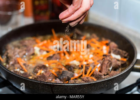 Ajoute la main de sel à ragoût de boeuf fermer Banque D'Images