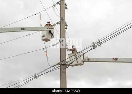 Mayaguez, Puerto Rico, 8 décembre 2017--traitants du U.S. Army Corps of Engineers (USACE) à la réfection des lignes de transmission à Mayaguez. Attribué par la FEMA, dirige l'USACE effort fédéral pour réparer le réseau électrique endommagé par les ouragans. La FEMA/Eduardo Martinez Banque D'Images