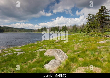 Oderteich, un réservoir historique, dans le parc national du Harz, Basse-Saxe, Allemagne Banque D'Images