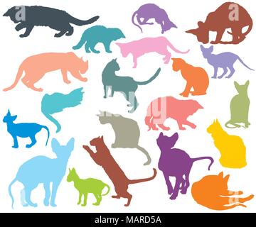 Les chats de races différentes silhouettes (assis, debout, couché, jouant) dans une couleur différente isolé sur fond blanc. Illustra coloré vecteur Illustration de Vecteur