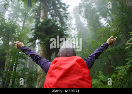 Photo de l'arrière de girl with arms raised Banque D'Images